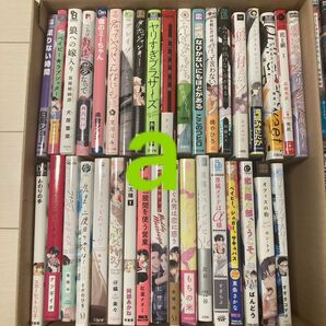 aボーイズラブ 商業bl blコミック