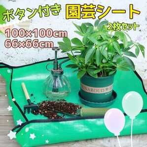 2枚セット ガーデンクッション 園芸シート 植え替えシート 防水シート 園芸用 軽量 家庭菜園