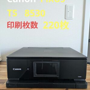 Canon PIXUS TS 8530 印刷枚数 220枚 No.113