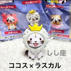 ココス×ラスカル しし座 12星座 立体 マグネット 前編 フィギュア ピタッとラスカル 願いをこめて