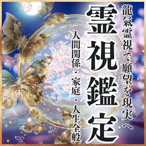 初回限定価格【霊視鑑定】人生総合・人間関係・宿命・運命・天命・霊視・占い