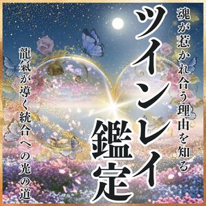 初回限定価格【ツインレイ鑑定】恋愛・二人の未来・復縁・結婚・不倫・占い・霊視