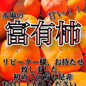 甘コンパクトboxさ格別(富有柿)ご家庭用