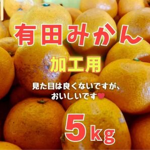 和歌山県産 有田みかん 訳あり5kg 甘くて美味しいですよ