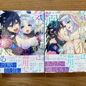 気高き狼は不器用な恋に溺れる 上下 伊倉とう子 TLコミック ティーンズラブ 女性漫画
