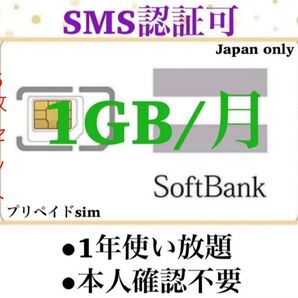 SoftBank プリペイドSIM データ通信 1GB/月 SMS受信可 認証用 開通済み 有効期限2026年10月 10枚