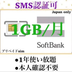 SoftBank プリペイドSIM データ通信 1GB/月 SMS受信可 認証用 開通済み 有効期限2026年10月 10枚