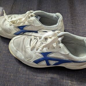 体育館シューズ 運動靴 24cm