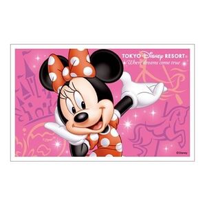 11月14日(金) 東京ディズニーシー 入園済みチケット 11/14