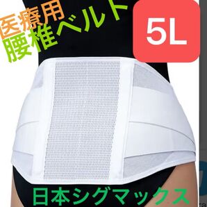 腰椎ベルト 5L 医療用 整形外科 ほぼ新品 ホワイト サポーター コルセット 高レビュー品