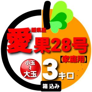 愛媛県産 愛果28号 家庭用 S~3Lサイズ