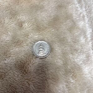 アルゼンチン10センタボ硬貨