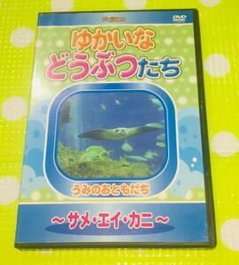 即決『同梱歓迎』DVD◇ゆかいなどうぶつたち うみのおともだち～サメ・エイ・カニ～ 動物◎CD×DVD多数出品中n13