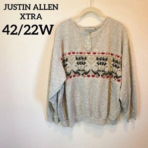 JUSTIN ALLEN XTRA【42/22W】 グレー プルオーバー 秋 冬 海外古着 オシャレ ヴィンテージ レディース