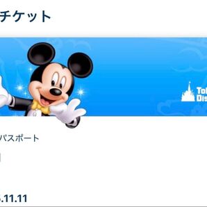 11/11 ディズニーランド 入園済みチケット