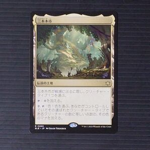 MTG マジックザギャザリング 三本木市 日本語版1枚