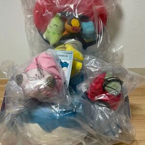 2025 Pokmon Collection くじ ~Let's Go for a Walk!~