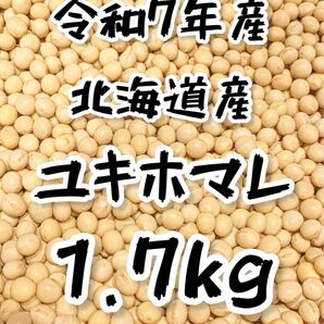 令和7年度産 大豆 1.7kg ユキホマレ 豆乳
