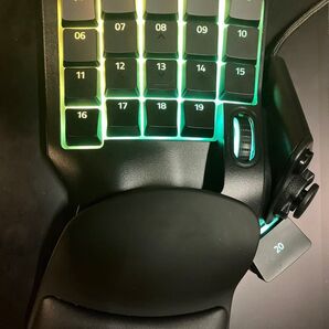 Razer Tartarus V2 RZ07-02270100-R3M1 (ブラック)