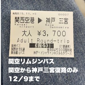関西空港 神戸三宮 バス復路乗車券 関空から神戸、三宮行き復路のみ 12月9日まで有効 リムジンバス 六甲アイランド