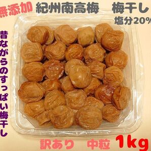 訳あり 無添加 紀州南高梅干し 白干梅 中粒 1kg 塩分20% 和歌山県みなべ町産 昔ながらのすっぱい梅干し