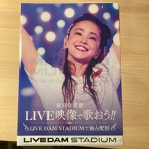 【非売品】安室奈美恵 クリアファイル LIVE DAM_画像1