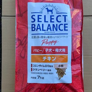 セレクトバランス パピー 幼犬用 チキン 7kg