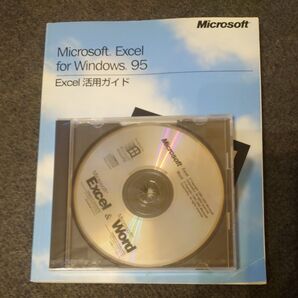 Microsoft Excel for Windows 95 Excel活用ガイド 「CDROM」Word &EXCEL