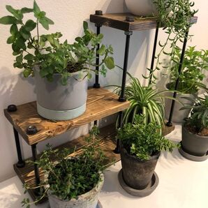 新作☆アイアンラック☆階段型☆木目強調☆プランターラック☆多肉棚