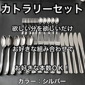 シルバー カラー180本 スプーン大フォーク大各60 スプーン小フォーク小各30