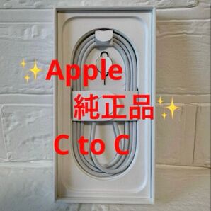 Apple純正 USB-C to C充電ケーブル(編み込み式)Apple刻印あり 1本 (B)