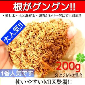 ヤシチップMIX【ポトス 斑入り モンステラ マドカズラ 金木犀 柚子 桃 苺 多肉植物 韓国苗 薔薇 紫陽花 水苔等に】〇