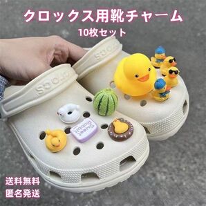 アヒルちゃん クロックス用靴チャーム シューズチャーム 10枚セット