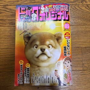 ビッグコミックオリジナル 2025年11月5日号 (小学館)