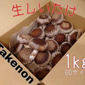 新鮮生しいたけ【1kg】静岡県産60サイズ