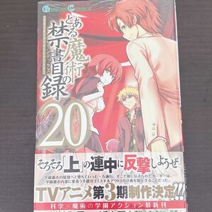 とある魔術の禁書目録(インデックス)20 (ガンガンコミックス) 鎌池和馬/原作 近木野中哉