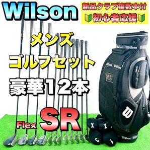 【新品クラブ複数本付】Wilson ウィルソン メンズゴルフクラブセット フレックスSR 初心者 右利き