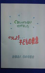 ぐあいがわるい　けがをした　どうしよう…子どもの救急　（冊子）　　社団法人・日本女医会　　送料込み