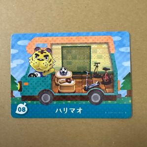 どうぶつの森 amiiboカード ハリマオ