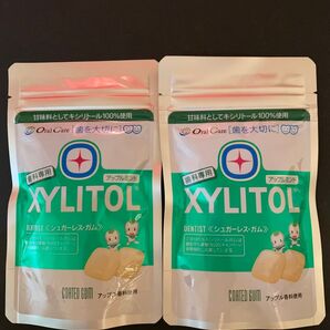 キシリトール100%ガム 歯科専用 アップルミント味2袋
