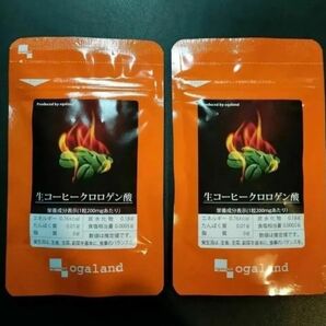 『 生コーヒークロロゲン酸 / 約1ヶ月分 2袋 』◇ 燃焼系 ダイエット