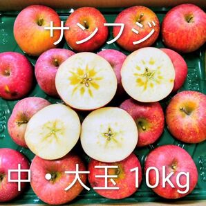 岩手県産 ご家庭用約10kg 完熟サンふじ大玉・中玉