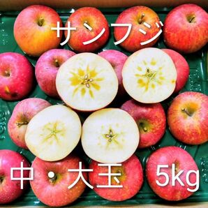 岩手県産 ご家庭用約5kg 完熟サンふじ 大玉・中玉