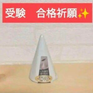 盛り塩 盛塩 八角錐型 八角皿は別売 総合型選抜 受験合格祈祷 合格祈願 県立高校 風水 私立高校受験 国立大学受験 絶対合格
