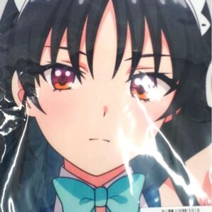 ようこそ実力至上主義の教室へ』 一之瀬帆波 抱き枕カバー 堀北鈴音 ほ