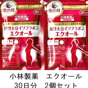 小林製薬 発酵大豆イソフラボン エクオール 30日分 命の母 2袋セット