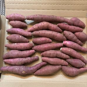 熊本県産さつまいも紅はるか ミニミニサイズ1キロ