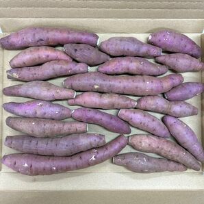 熊本県産さつまいも紅はるか ミニミニサイズ1キロ