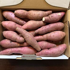 熊本県産さつまいも紅はるか ミニサイズ1.5キロ箱込み(33)