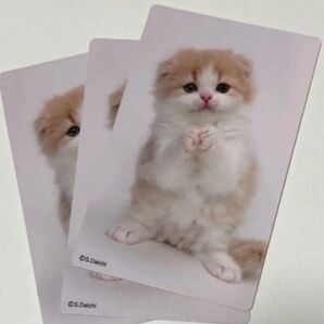 2026年版 カード型 名刺サイズ ミニサイズ カレンダー 3枚セット